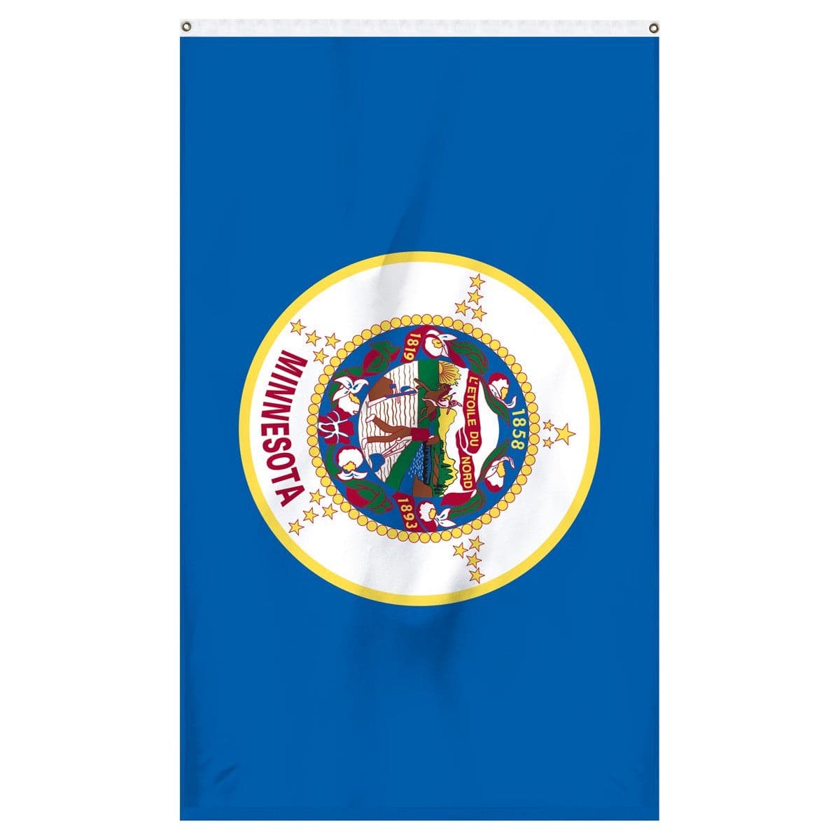 Minnesota State Flag - detailed view