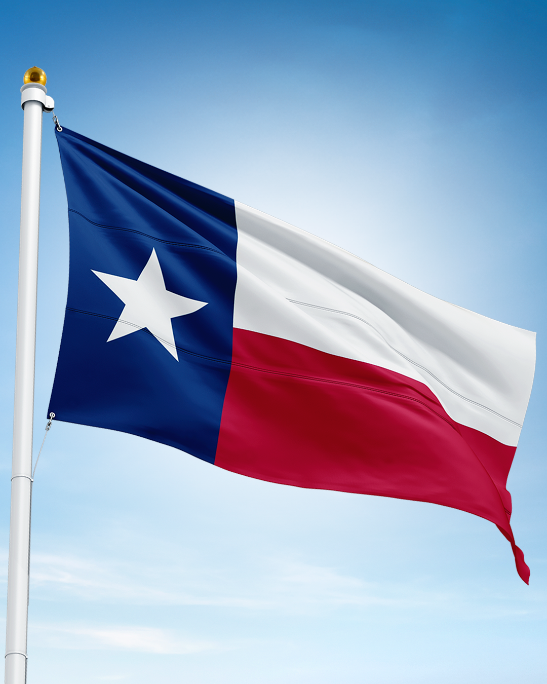 Texas State Flag - product view