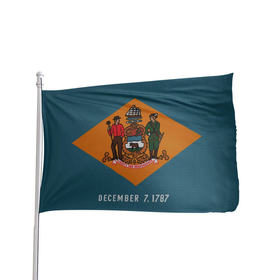 Delaware State Flag 3x5 in durable nylon, colonial blue with brass grommets by Atlantic Flag & Pole Inc.