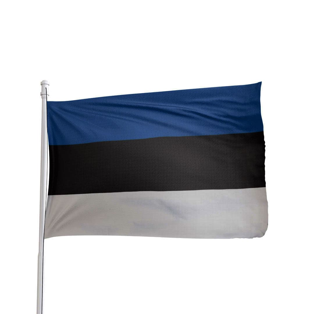 Estonia flag 3x5 ft made of 100% nylon with brass grommets and canvas heading by Atlantic Flag & Pole Inc.