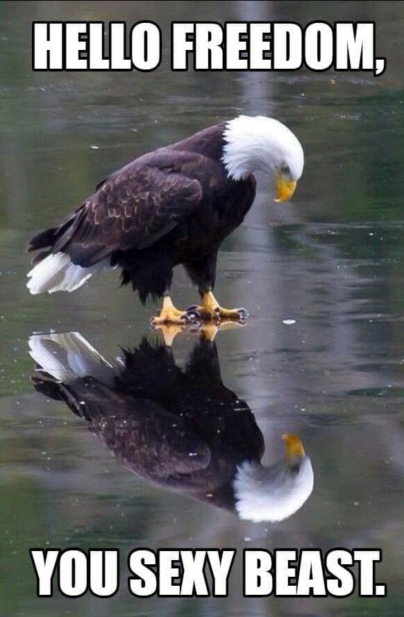 Hand painted 12-inch natural eagle flagpole topper by Atlantic Flag & Pole Inc.
