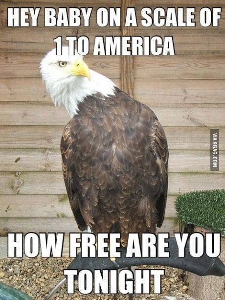 Hand-painted 12-inch natural eagle flagpole topper by Atlantic Flag & Pole Inc.