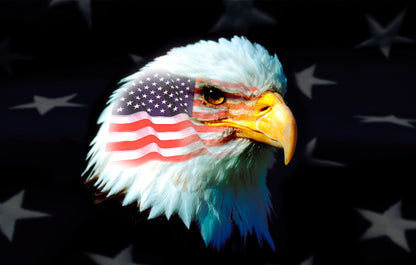 Atlantic Flag & Pole Inc. patriotic eagle flag in vibrant red, white, and blue, featuring an eagle design.