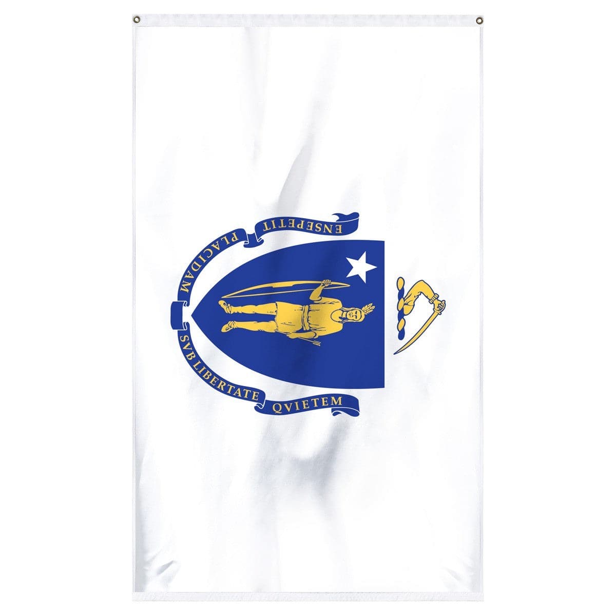 Massachusetts State Flag - detailed view