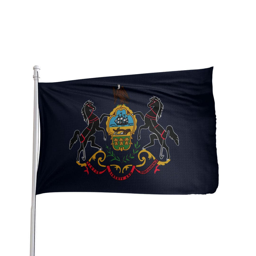 Pennsylvania State Flag - product view