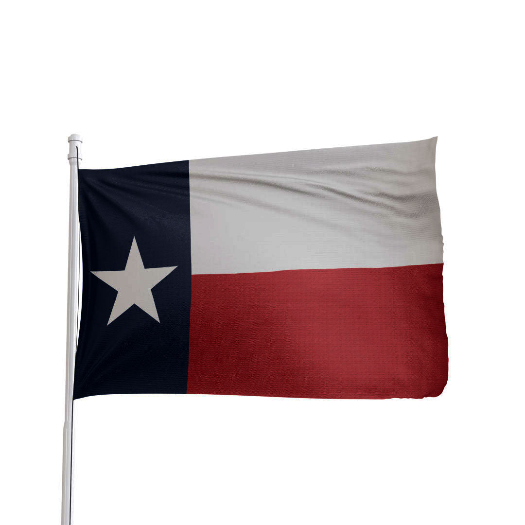 Texas State Flag - detailed view